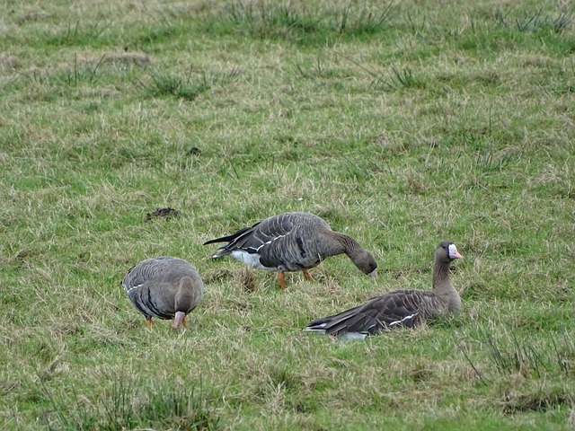 熱身賽 巴塞羅那3-1赫羅納 梅西梅開二度庫蒂尼奧送出一次助攻.
