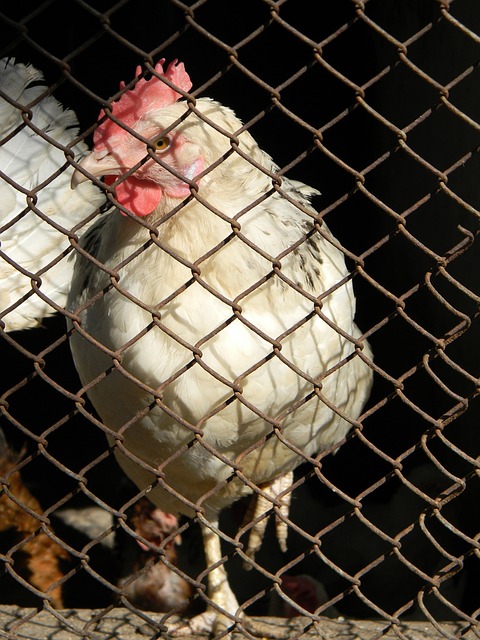 借助地缘优 借助地缘优